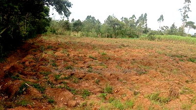 2 Acres for Sale in Kakamega - Image 4