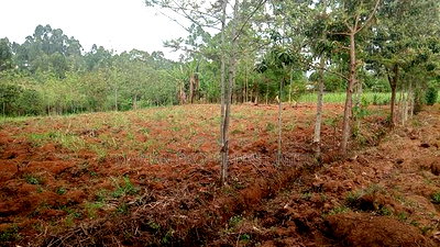 2 Acres for Sale in Kakamega - Image 6