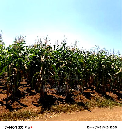 8 Ekali Katika Mpaka Wa Kenya Na Tanzania - Image 5