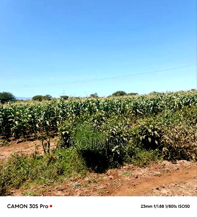 8 Ekali Katika Mpaka Wa Kenya Na Tanzania - Image 11