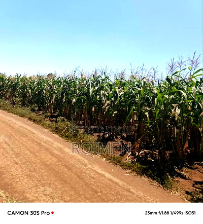 8 Ekali Katika Mpaka Wa Kenya Na Tanzania - Image 9