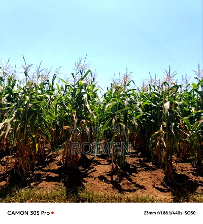 8 Ekali Katika Mpaka Wa Kenya Na Tanzania - Image 7