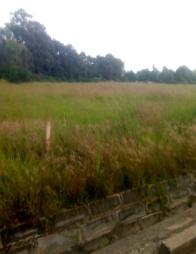 Half Acre in Karen at 40M