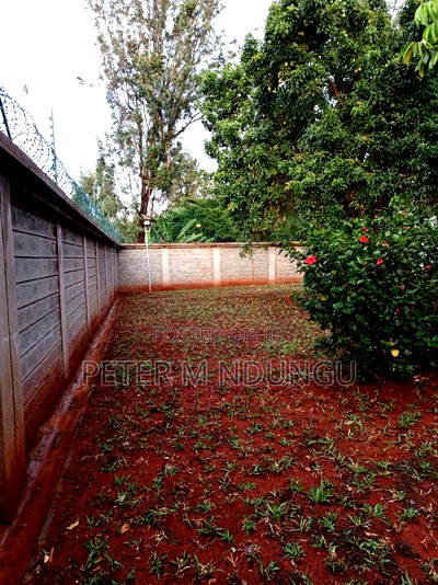 2bdrm Apartment in Thome for rent - Image 19