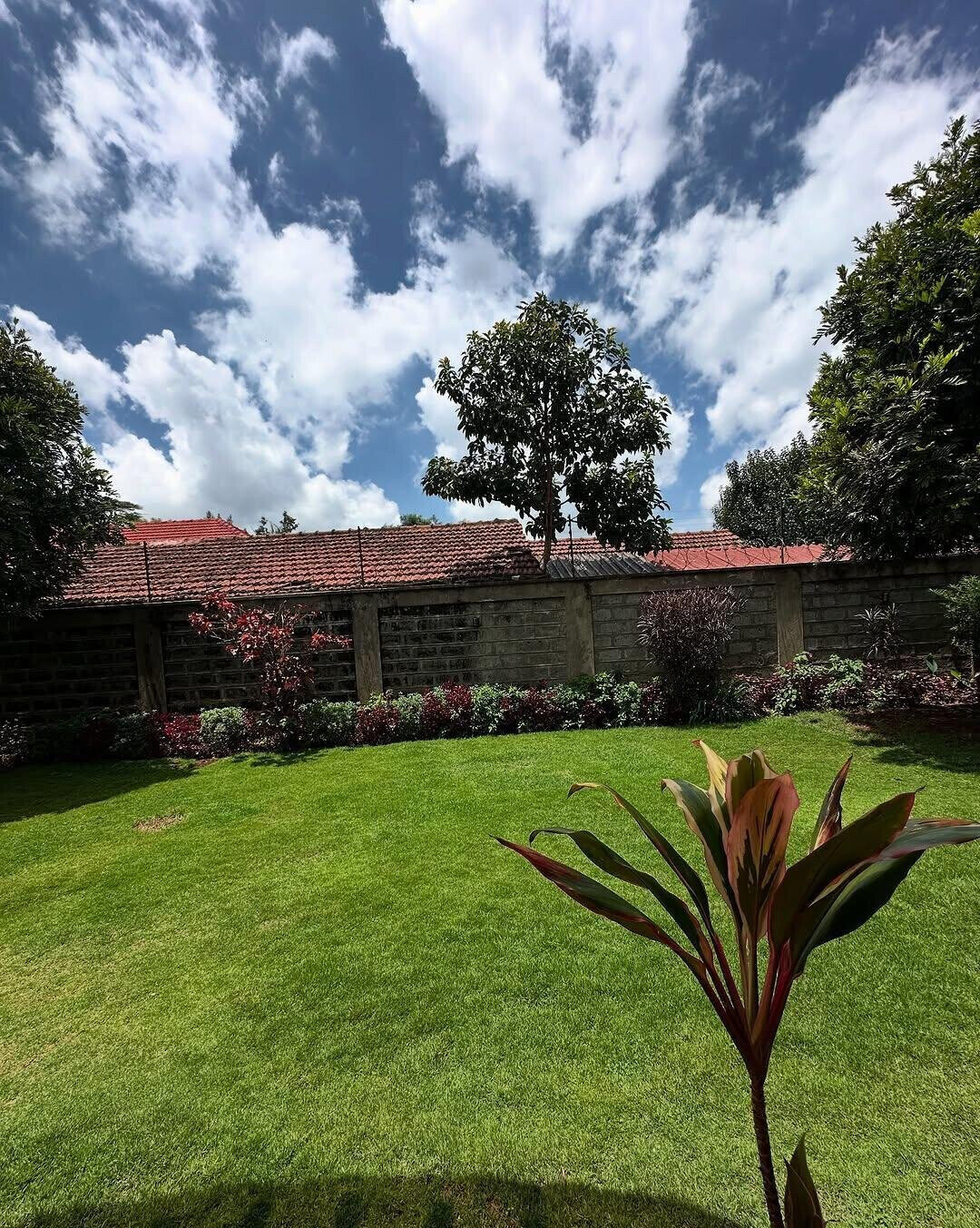 5-Ensuite Family Home with Fireplace & Garden - Lavington