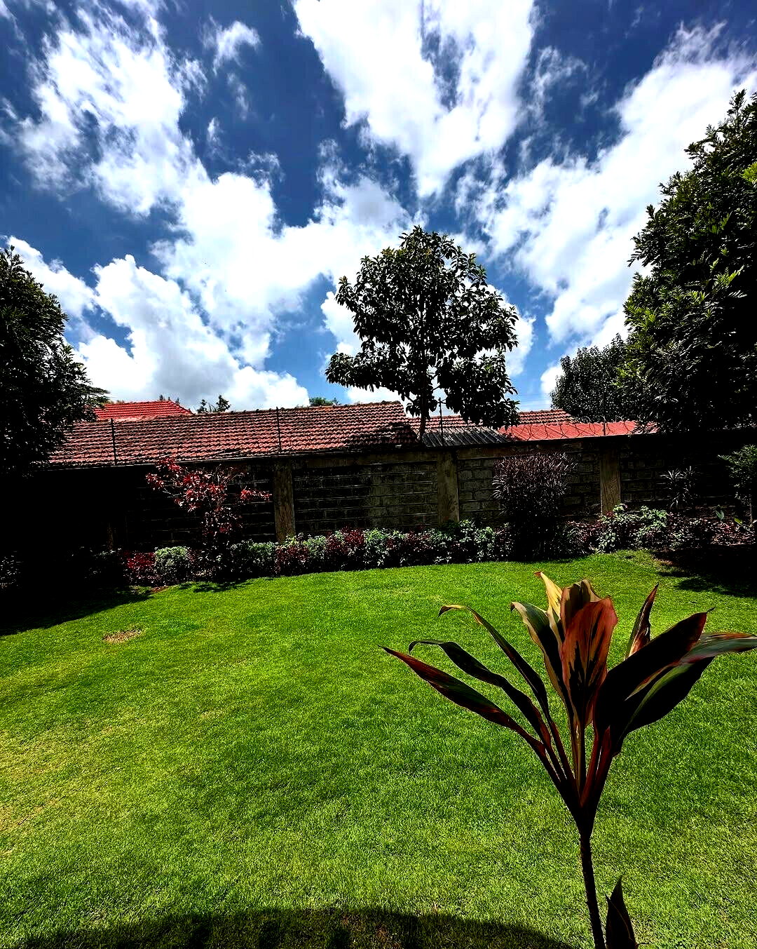 5-Ensuite Family Home with Fireplace & Garden - Lavington