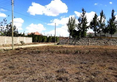 Half Acre Garden Plot with Parking
