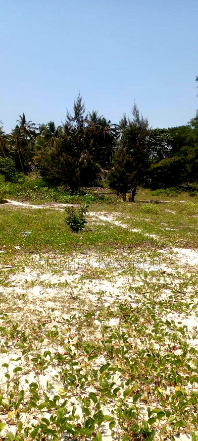 3 Acres Beach Plot Touching Clear Sandy on Blue Sea Water. - Image 5