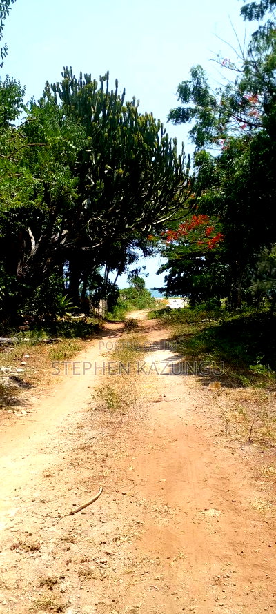 3 Acres Beach Plot Touching Clear Sandy on Blue Sea Water. - Image 4
