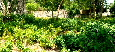 3 Acres Beach Plot Touching Clear Sandy on Blue Sea Water. - Image 12