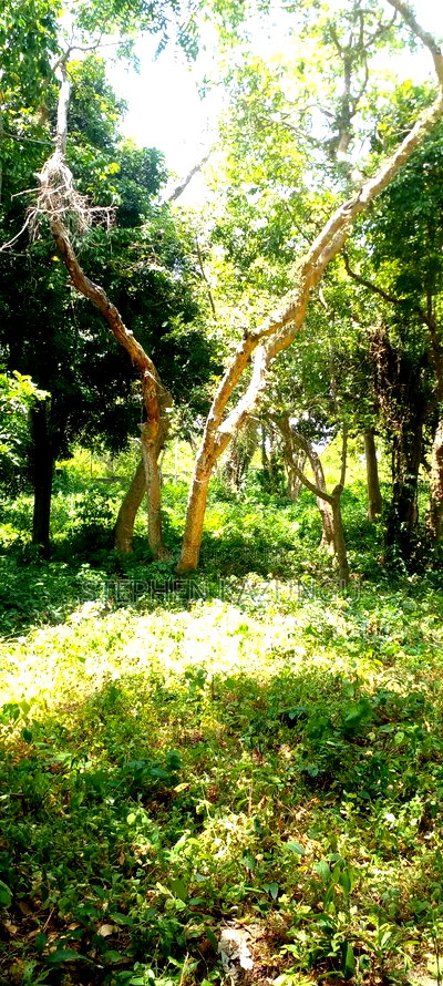 3 Acres Beach Plot Touching Clear Sandy on Blue Sea Water. - Image 10