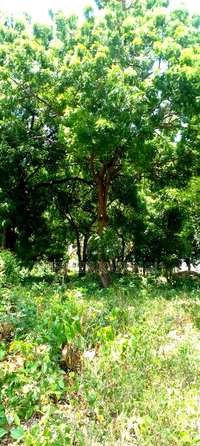 3 Acres Beach Plot Touching Clear Sandy on Blue Sea Water. - Image 9