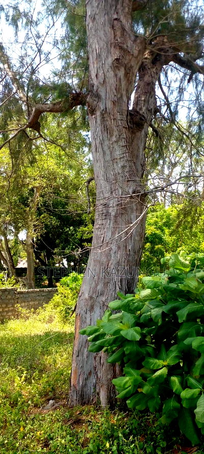 3 Acres Beach Plot Touching Clear Sandy on Blue Sea Water. - Image 7