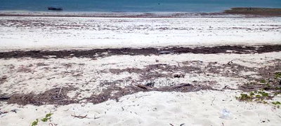 3 Acres Beach Plot Touching Clear Sandy on Blue Sea Water. - Image 2