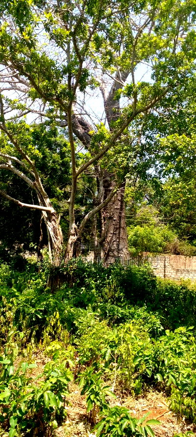 3 Acres Beach Plot Touching Clear Sandy on Blue Sea Water. - Image 13