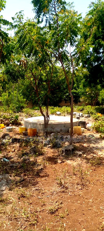 3 Acres Beach Plot Touching Clear Sandy on Blue Sea Water. - Image 14