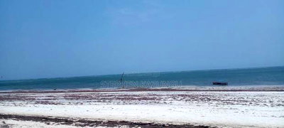 3 Acres Beach Plot Touching Clear Sandy on Blue Sea Water. - Image 1