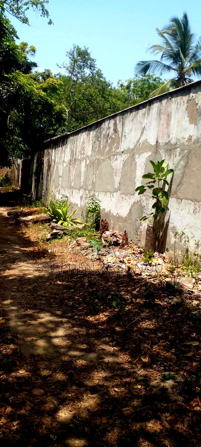 3 Acres Beach Plot Touching Clear Sandy on Blue Sea Water. - Image 11