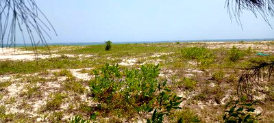 3 Acres Beach Plot Touching Clear Sandy on Blue Sea Water. - Image 3