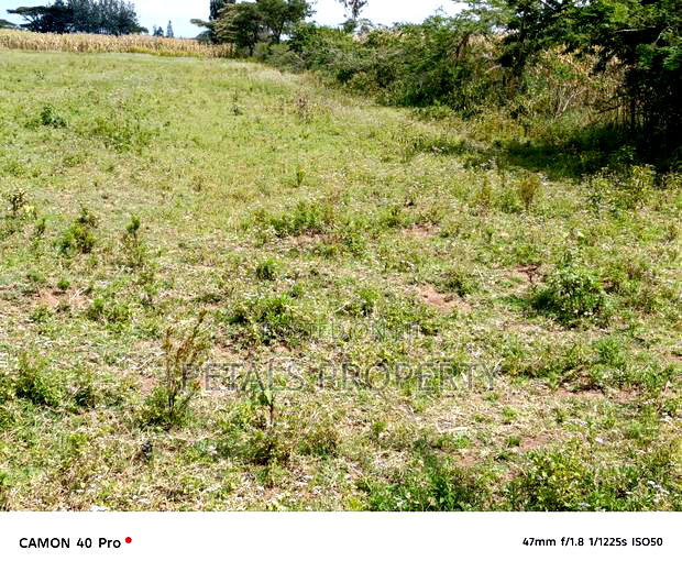 4 Acres for Sale in Boito, Kampi Ya Moto