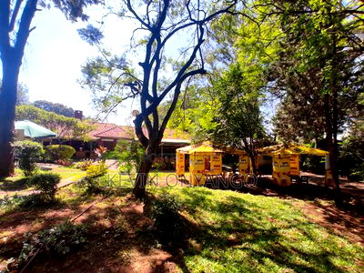 Space for Restaurant in Upperhill - Image 5