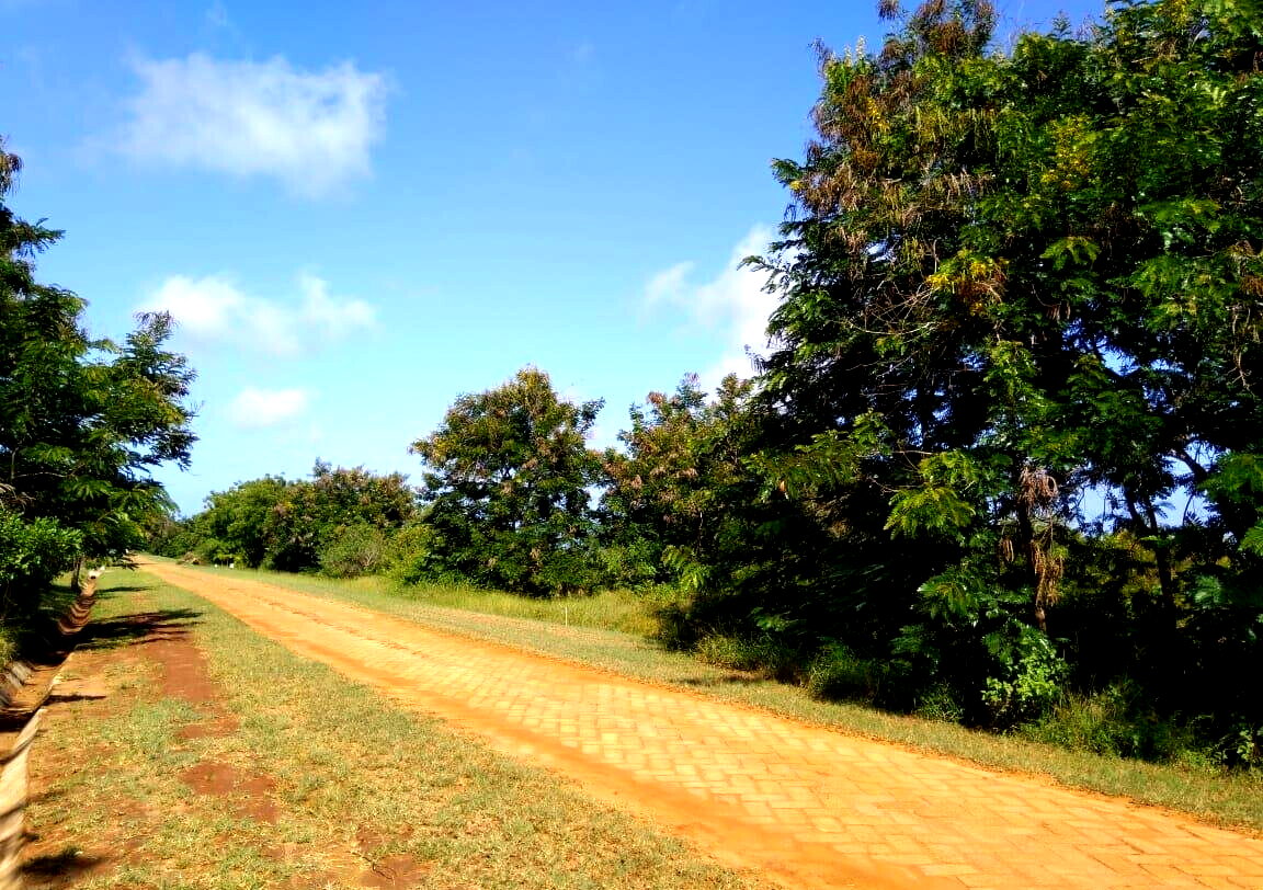 1-Acre Freehold Plot at KSh 20M