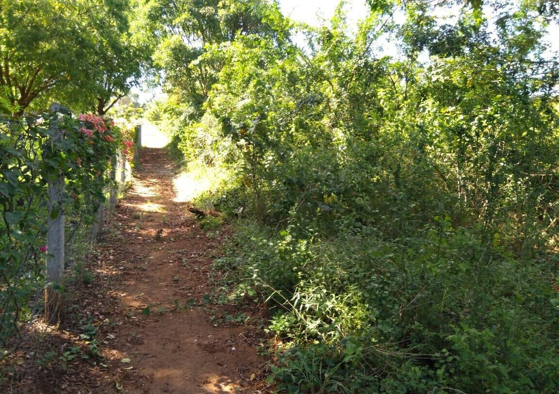 1-Acre Freehold Plot at KSh 20M