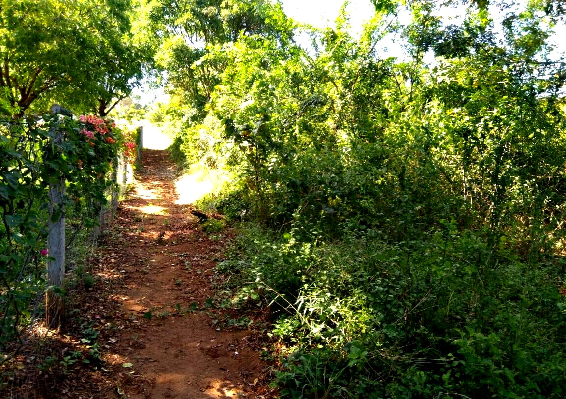 1-Acre Freehold Plot at KSh 20M