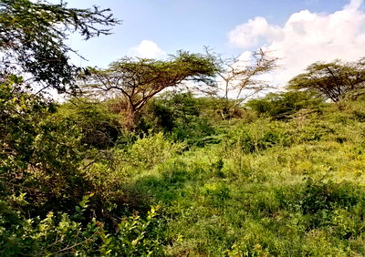 Half Acre in Rimpa, Ongata Rongai at KSh 12M