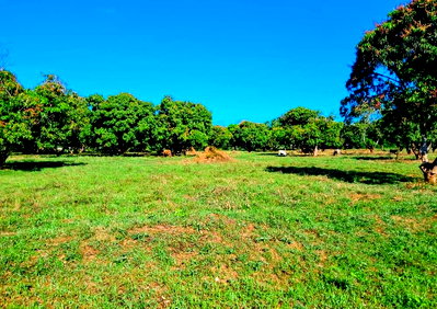 50x100 Plot with Garden at KSh 795K