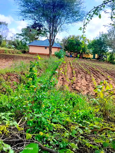 Matuu Plots Size 50*100 - Image 1