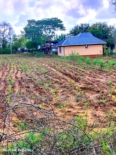 Matuu Plots Size 50*100 - Image 13