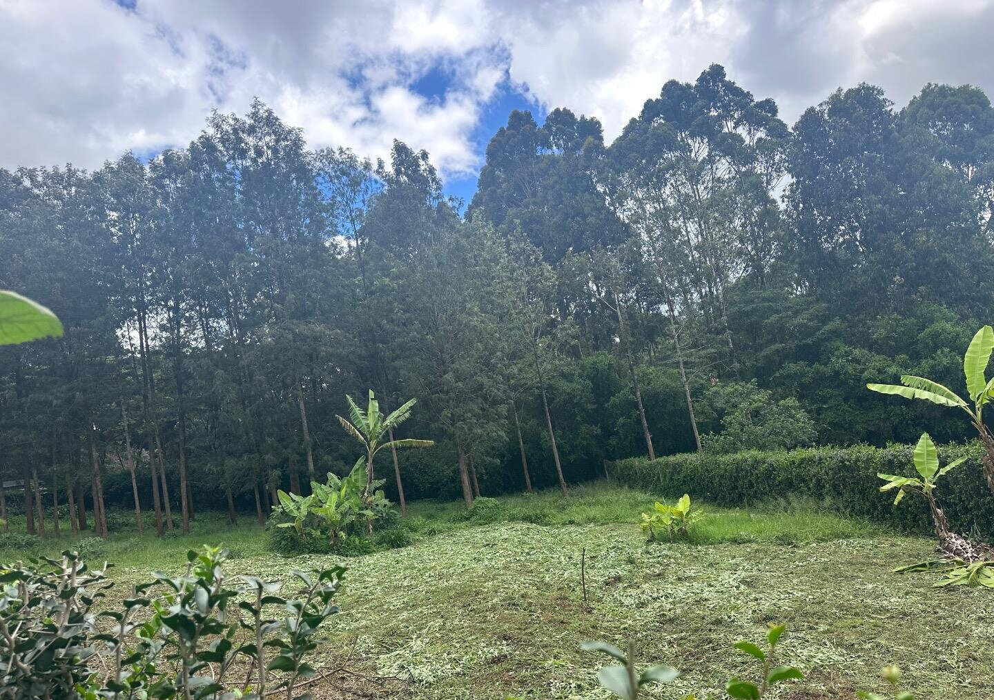 Half Acre Garden Plot at KSh 60M