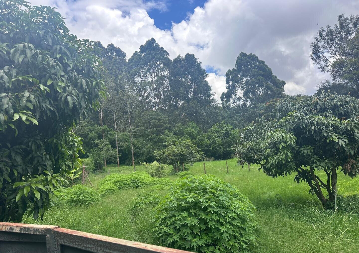 Half Acre Garden Plot at KSh 60M