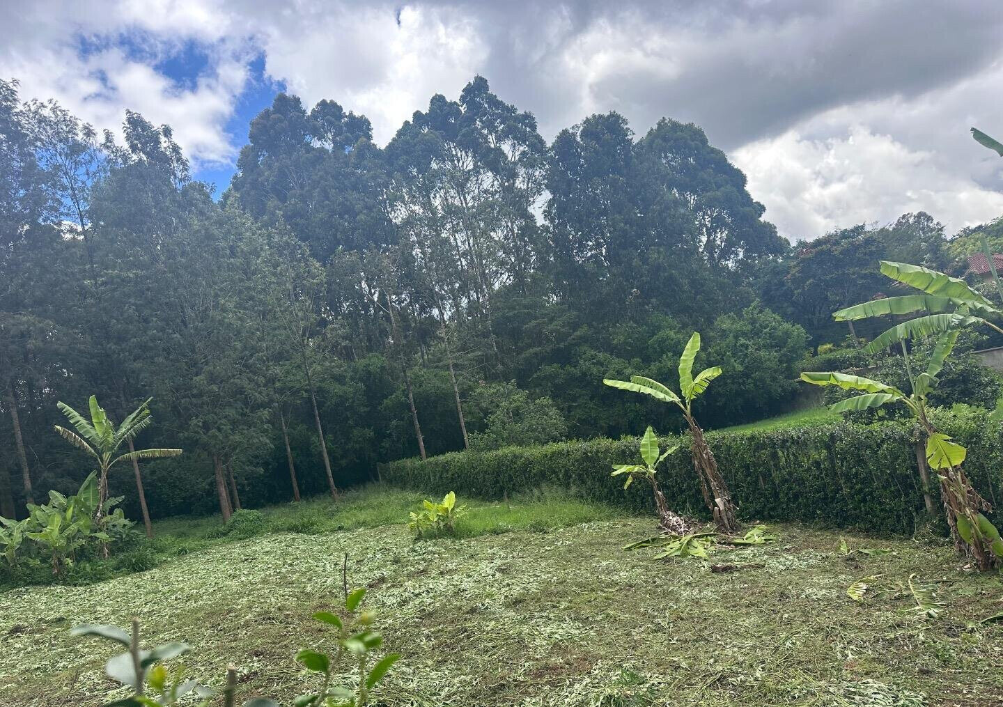 Half Acre Garden Plot at KSh 60M