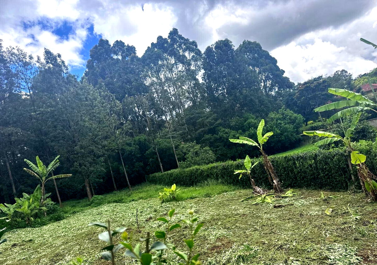 Half Acre Garden Plot at KSh 60M
