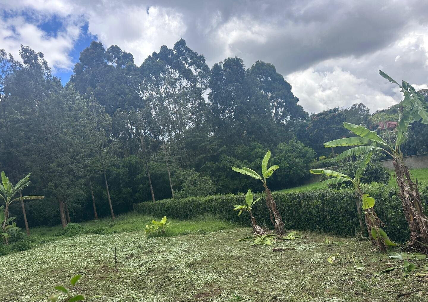 Half Acre Garden Plot at KSh 60M