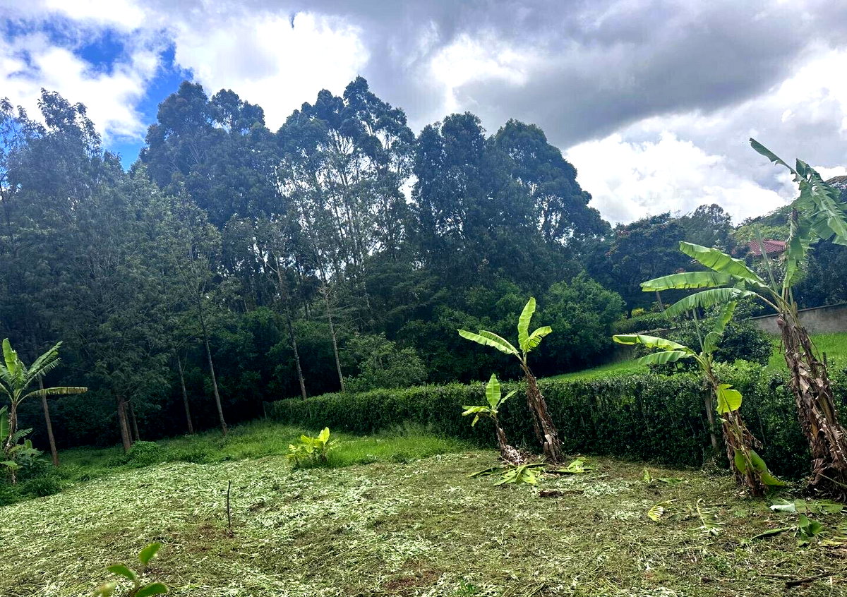 Half Acre Garden Plot at KSh 60M
