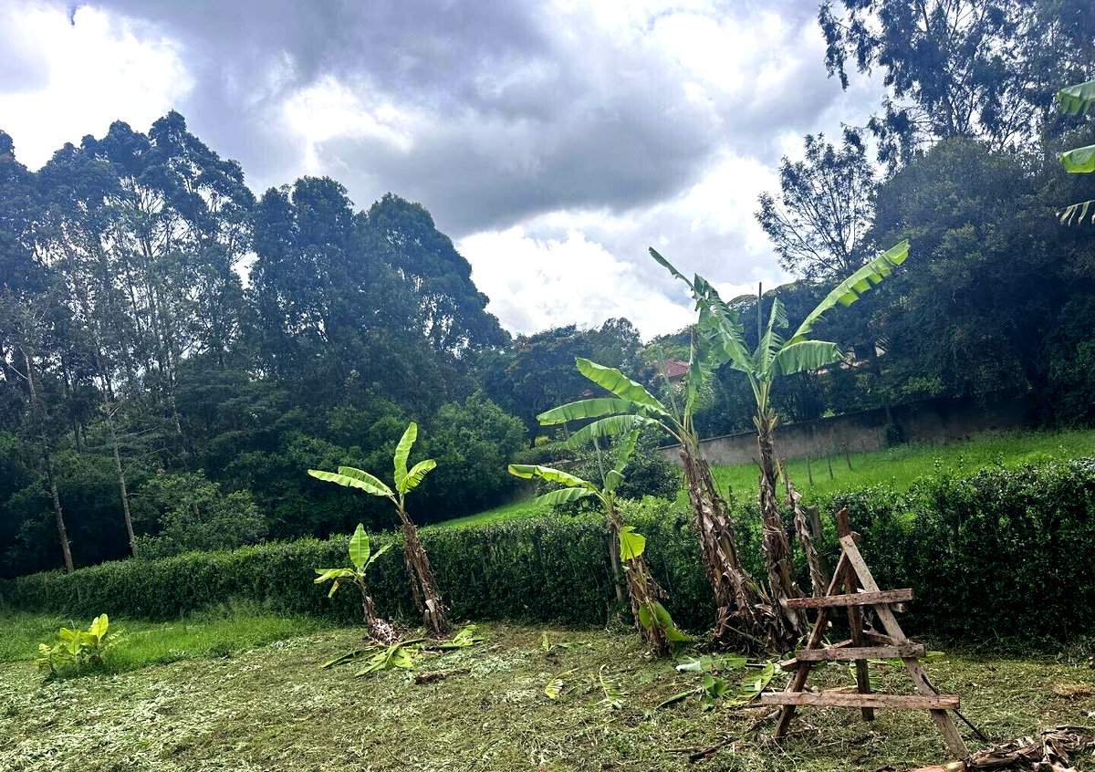 Half Acre Garden Plot at KSh 60M