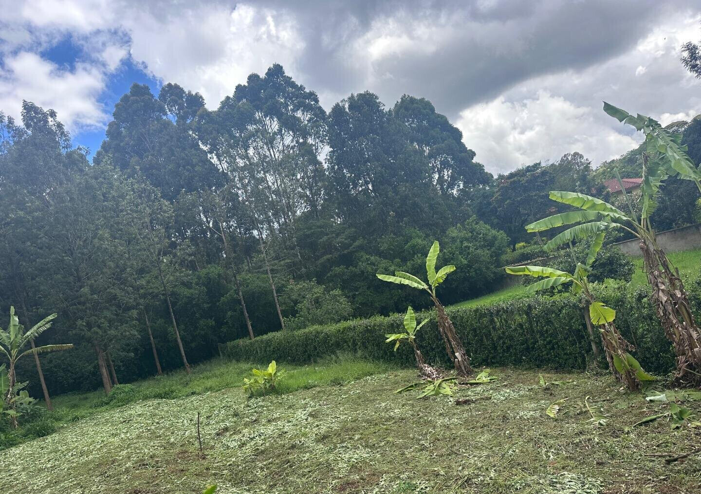 Half Acre Garden Plot at KSh 60M