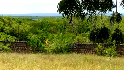 2 Acres of Land in Watamu - Image 5