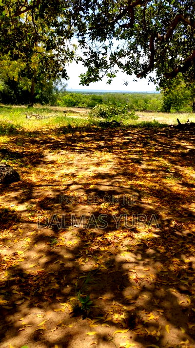 2 Acres of Land in Watamu - Image 4