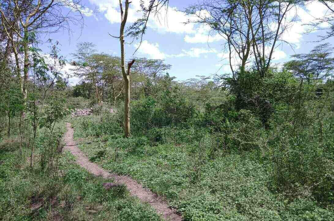 14.4-Acre Commercial Land in Athi River