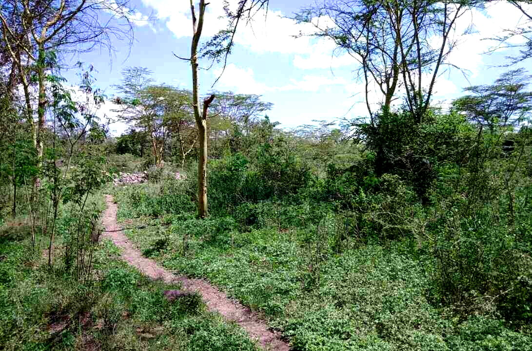 14.4-Acre Commercial Land in Athi River