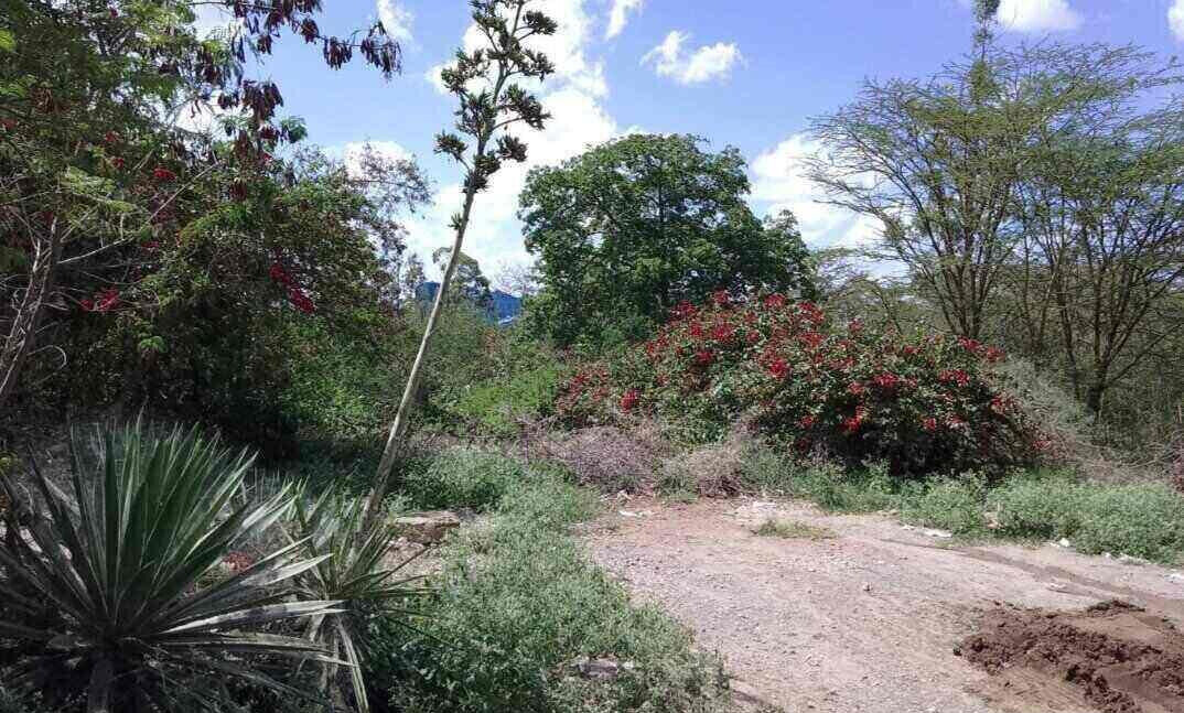 14.4-Acre Commercial Land in Athi River