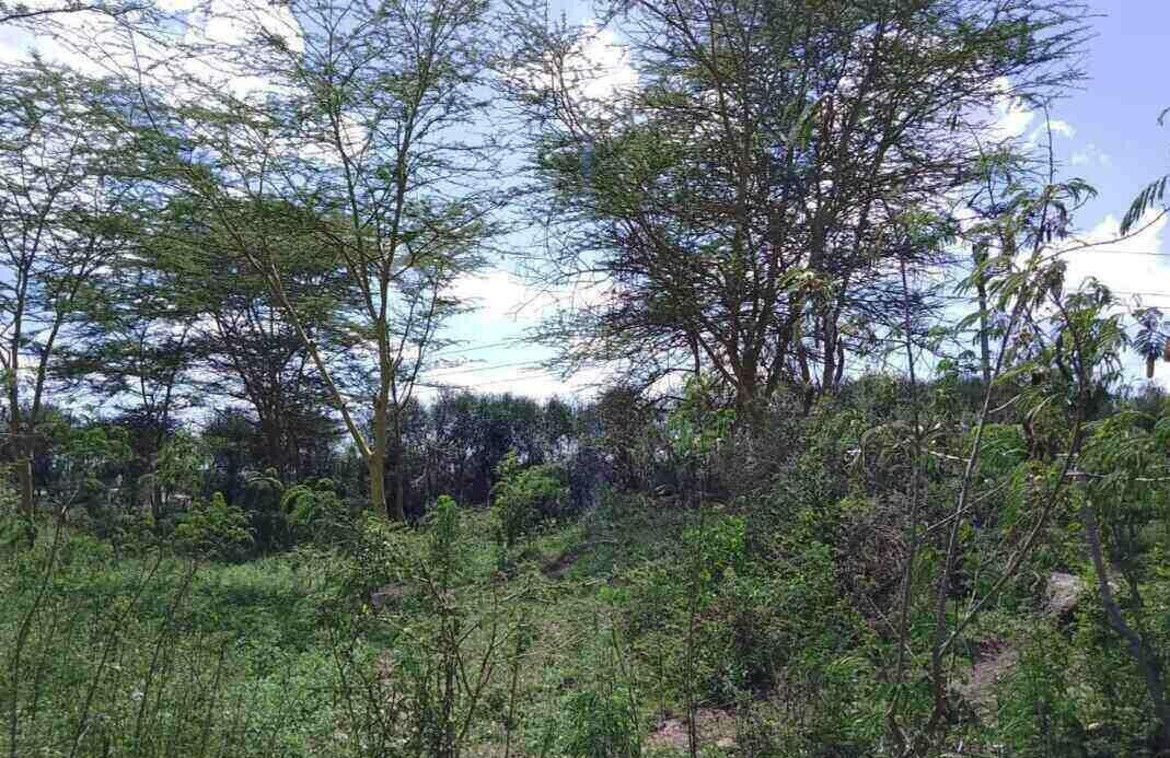 14.4-Acre Commercial Land in Athi River
