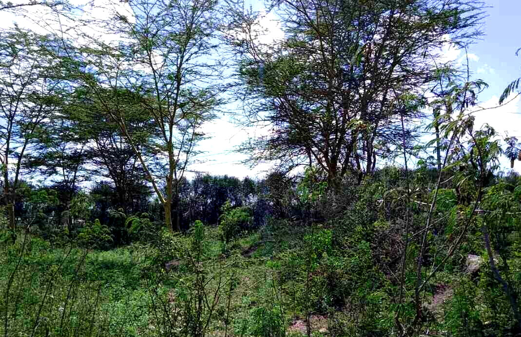 14.4-Acre Commercial Land in Athi River