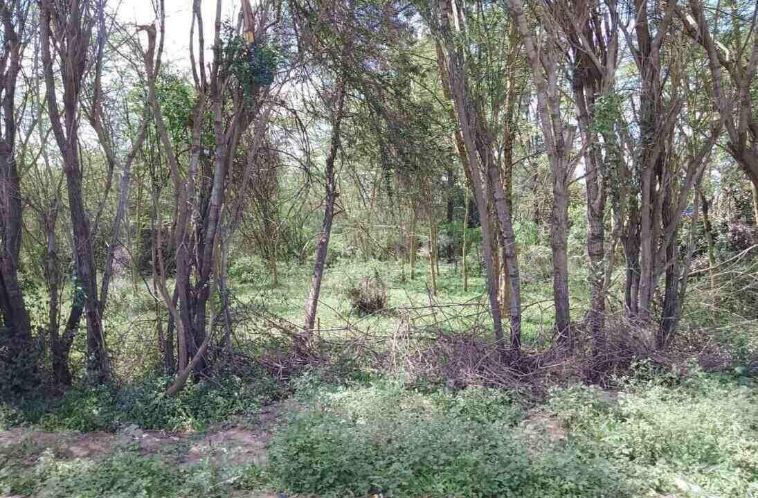 14.4-Acre Commercial Land in Athi River