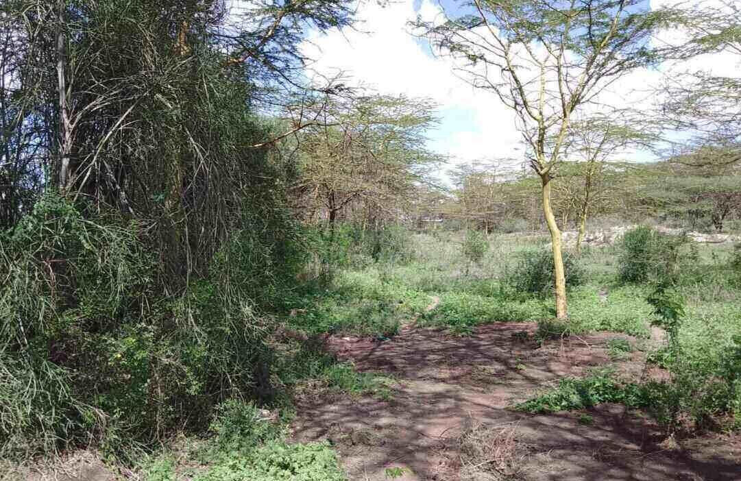 14.4-Acre Commercial Land in Athi River