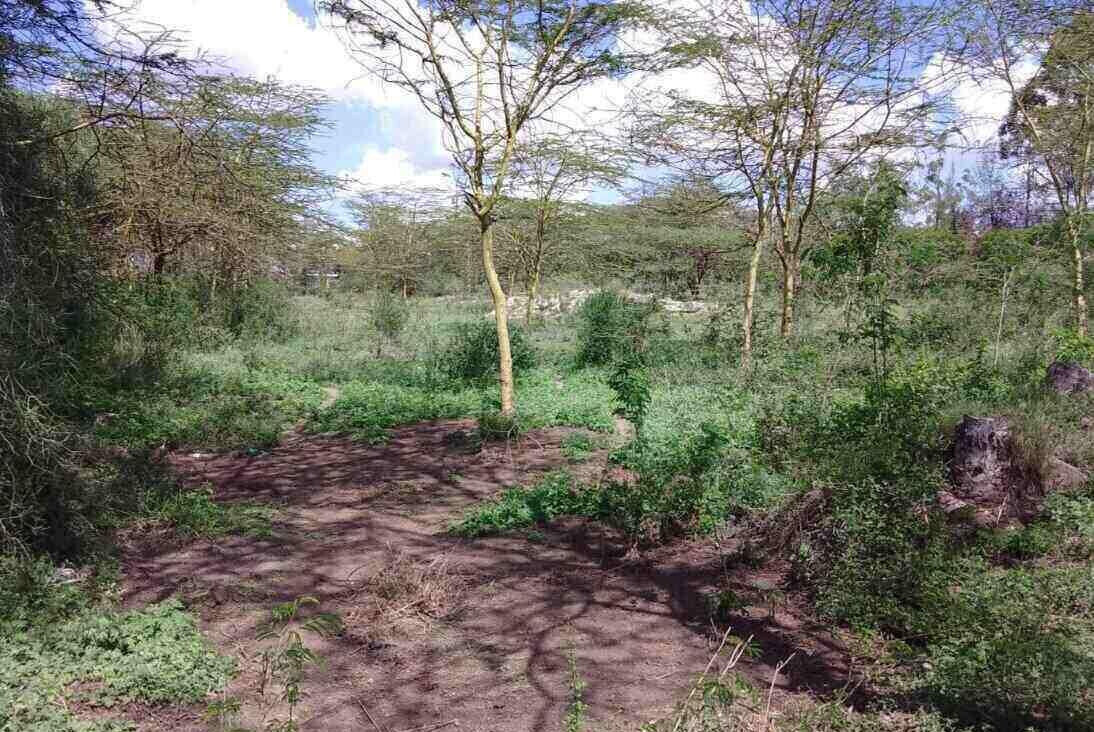 14.4-Acre Commercial Land in Athi River